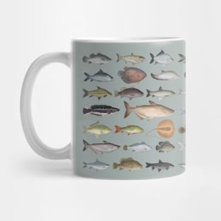 Southeast Asia Freshwater Fish Group Mug